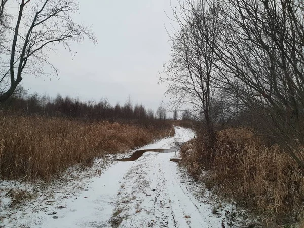 Winter Landscape Russia — Stock Photo, Image