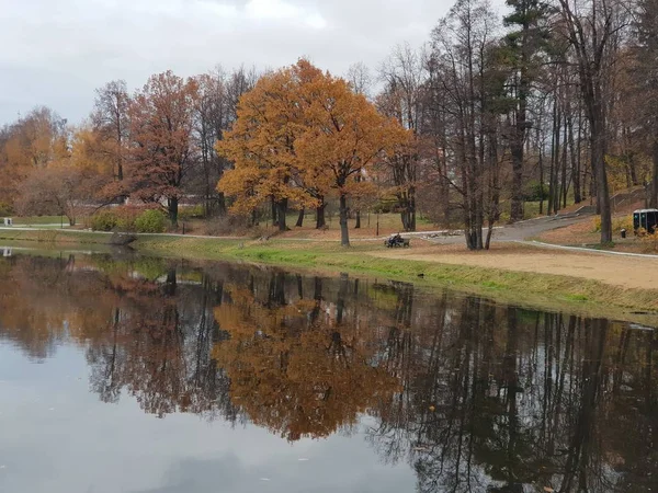Seenlandschaft Herbstpark — Stockfoto