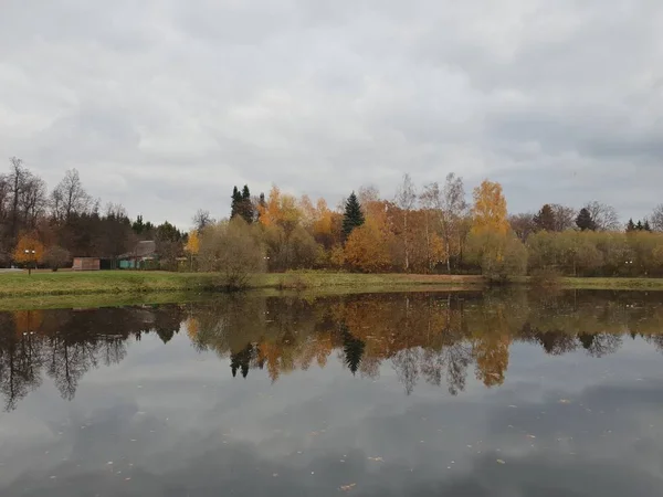 Krajobraz Jeziora Jesiennym Parku — Zdjęcie stockowe
