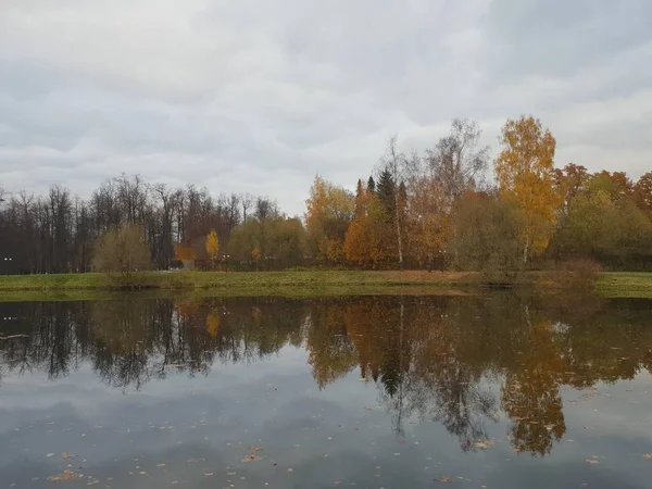 Paesaggio Lacustre Nel Parco Autunnale — Foto Stock