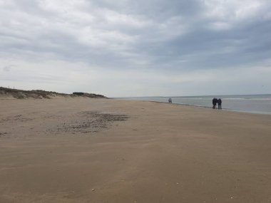 Normandiya'da Atlantik Okyanusu manzarası, Fransa