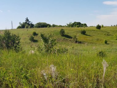 Rus kırsal Doğası