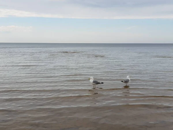 Балтийский Морской Пейзаж Юрмале Латвия — стоковое фото