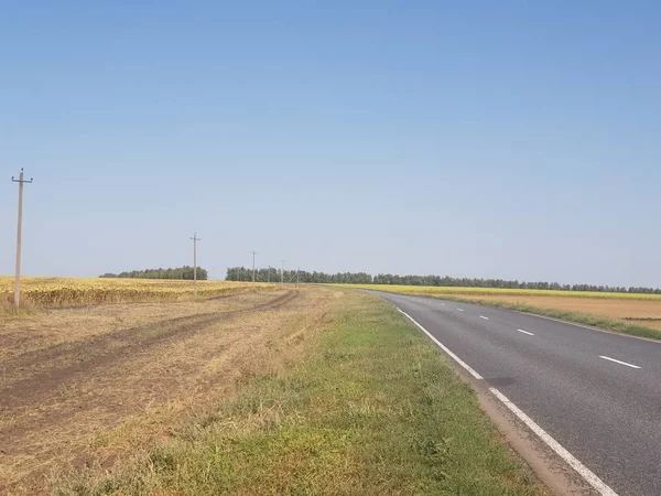 Rusya'da yaz manzara