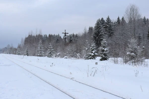 Järnvägslandskap Snöig Vinter — Stockfoto