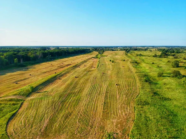 Aerial nature landscape from the drone