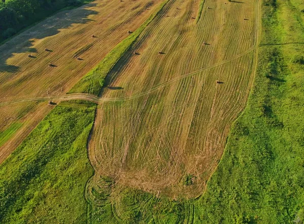 Aerial nature landscape from the drone