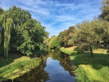 Yazın orman manzarasında nehir