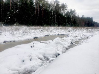 Kışın karlı orman manzara