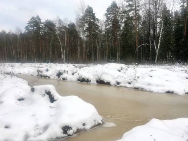 Kışın karlı orman manzara