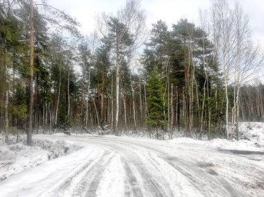 Kışın karlı orman manzara