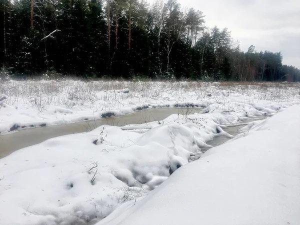 Snowy Forest Landscape Winter — Stock Photo, Image