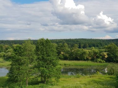 Yazın nehir manzarası