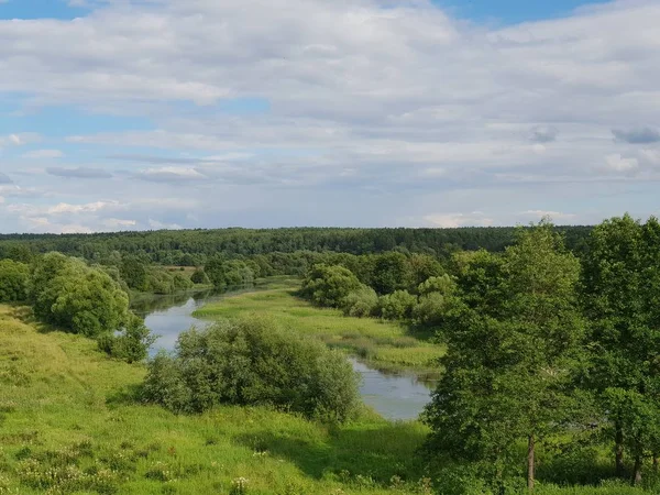 Folyami Táj Nyáron — Stock Fotó