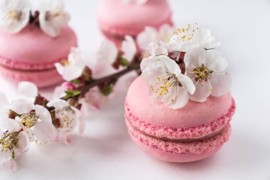 Pembe macaroons beyaz bir arka plan üzerinde beyaz çiçekler bir dalı ile. Fransız tatlı ve çiçek çiçeklenme kiraz. Sakura çiçek pembe acıbadem kurabiyesi ile yakın çekim.