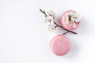Pembe macaroons beyaz bir arka plan üzerinde beyaz çiçekler bir dalı ile. Fransız tatlı ve çiçek çiçeklenme kiraz. Sakura çiçeklerle pembe acıbadem kurabiyesi