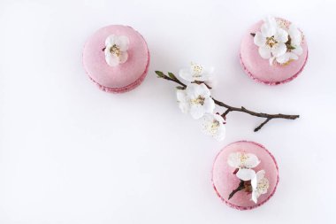 Pembe macaroons beyaz bir arka plan üzerinde beyaz çiçekler bir dalı ile. Fransız tatlı ve çiçek çiçeklenme kiraz. Sakura çiçeklerle pembe acıbadem kurabiyesi