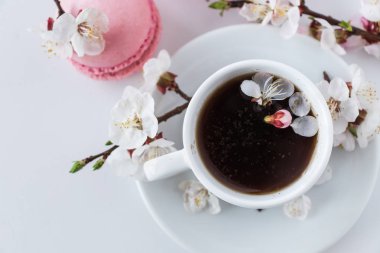 Bir fincan kahve ve bir şube beyaz bir arka plan üzerinde beyaz çiçek ile pembe bademli kurabiye. Fransız tatlı ve çiçek çiçeklenme kiraz. Sakura çiçek pembe acıbadem kurabiyesi ile yakın çekim.