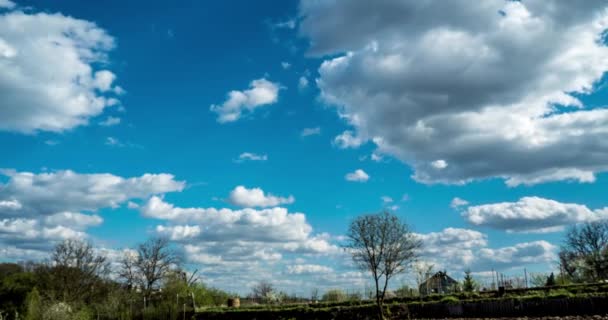 Nuvens Fortes Sobre Árvores Aldeia — Vídeo de Stock