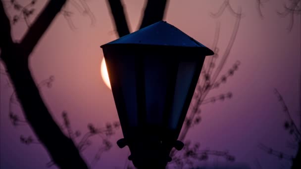 Прекрасний Захід Сонця Над Вечірнім Містом Через Ліхтар — стокове відео