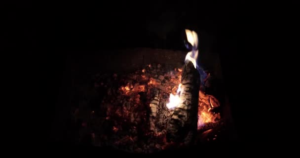 Leña Quemada Parrilla Por Noche — Vídeo de stock