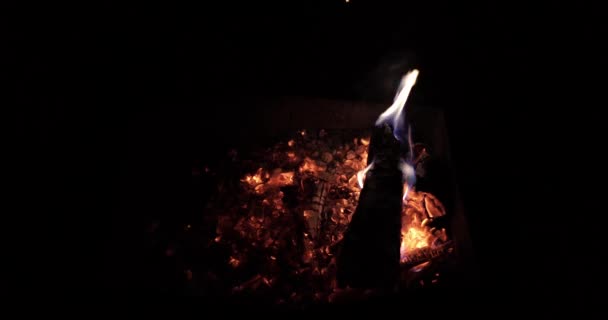 Brennholz Nachts Auf Dem Grill Verbrennen — Stockvideo