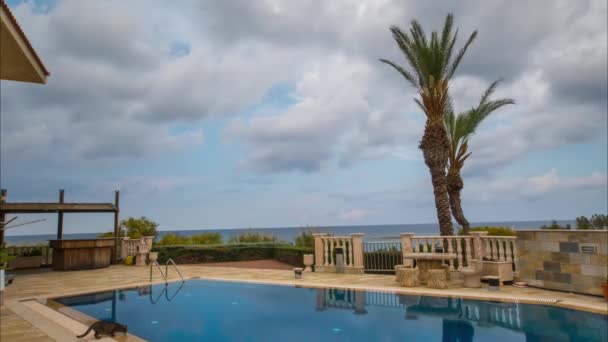 Time Lapse Zwembad Met Uitzicht Palmbomen Zee — Stockvideo
