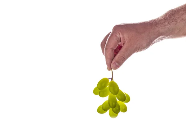 Mano Hombre Sosteniendo Ramo Uvas Verdes Aislado Sobre Fondo Blanco — Foto de Stock