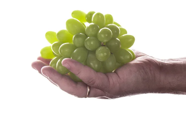 Mano Hombre Sosteniendo Ramo Uvas Verdes Aislado Sobre Fondo Blanco — Foto de Stock