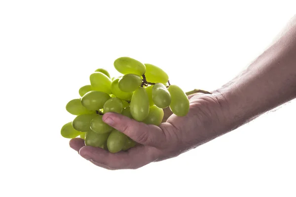 Mano Hombre Sosteniendo Ramo Uvas Verdes Aislado Sobre Fondo Blanco — Foto de Stock