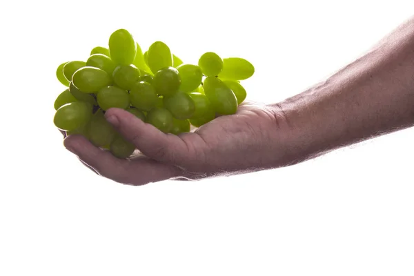 Mano Hombre Sosteniendo Ramo Uvas Verdes Aislado Sobre Fondo Blanco — Foto de Stock