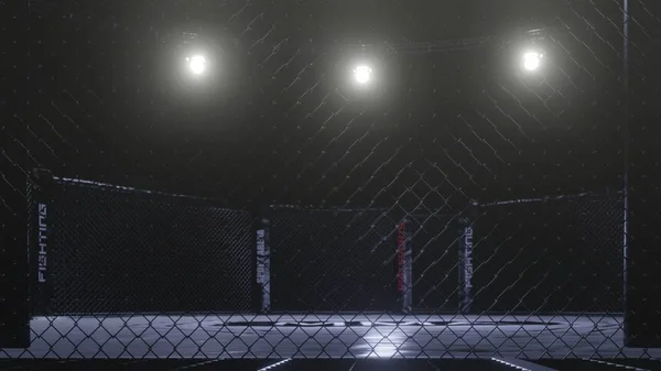 MMA Arena widok z boku. Pusta klatka walki pod światłami. Renderowanie 3D — Zdjęcie stockowe