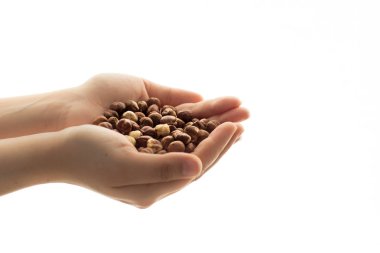 El ve beyaz arka plan avuç içinde