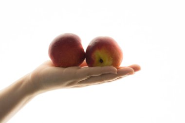 El üstünde Vwhte şeftali 