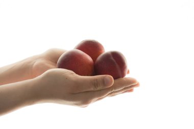 El üstünde Vwhte şeftali 