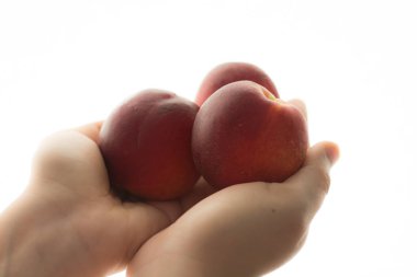 El üstünde Vwhte şeftali 