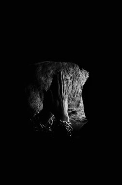 mahkum ve zinciri kavramı