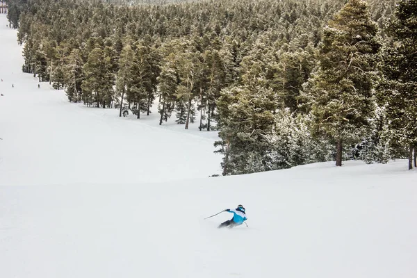 Skifahrer Fährt Abwärts — Stockfoto