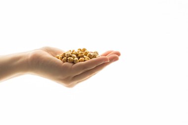 Beyaz artalanları üzerinde kavrulmuş nohut