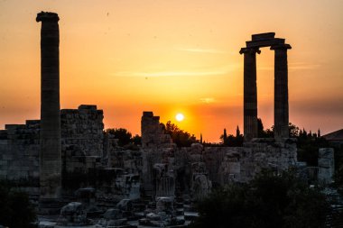 Apollon Tapınağı Didyma