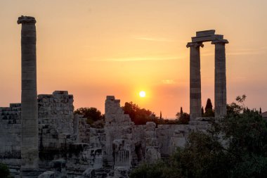 Apollon Tapınağı Didyma