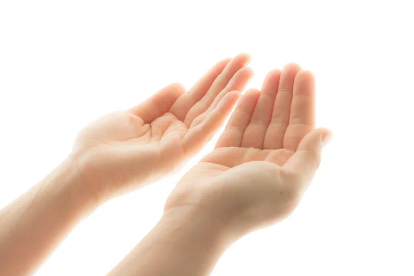 Respect Praying White Backround — Stock Photo, Image