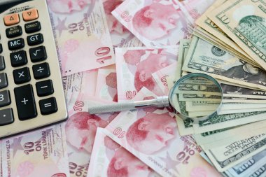 Amerikan Doları banknot ve Turksh Lirası banknot 