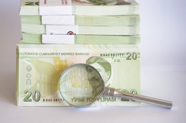  Euro ve Türk Lirası 