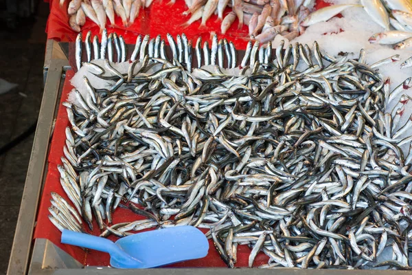 Biqueirão Europeu Hamsi Turco Espécies Peixes Mar Negro — Fotografia de Stock