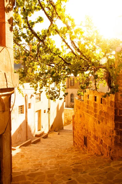 Taş backstreet mardin