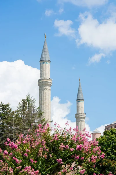 モスク スルタンアフメット イスタンブール トルコ — ストック写真