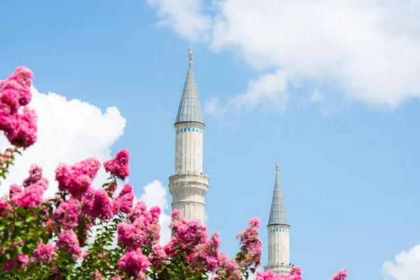 Τζαμί Στο Σουλταναχμέτ Κωνσταντινούπολη Τουρκία Royalty Free Φωτογραφίες Αρχείου
