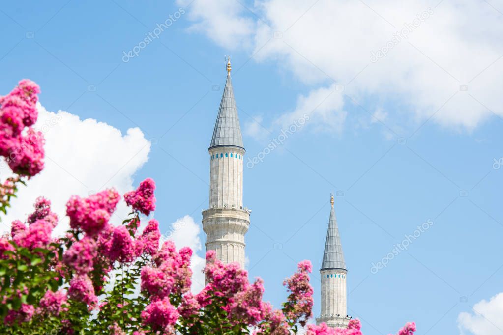 Mosque in sultanahmet, Istanbul, Turkey