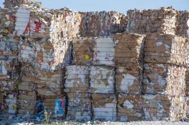 Atık kağıtlar toplanır ve geri dönüşüm için paketlenir. Karton ve Kağıt Geri Dönüşümü